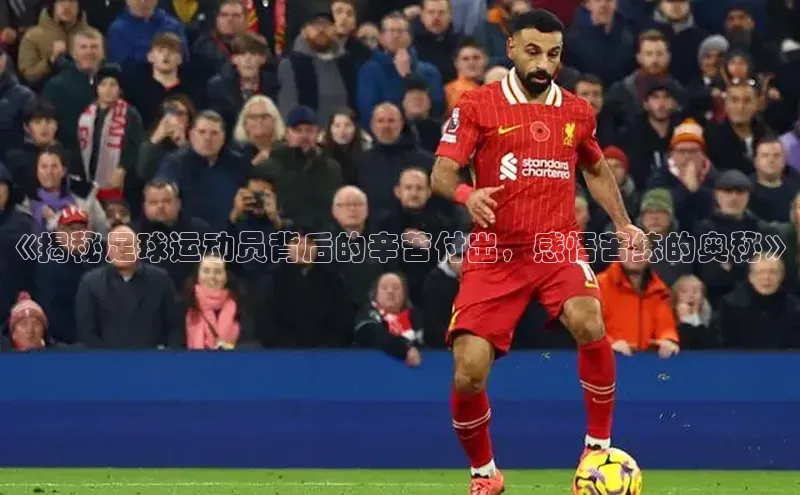 人生就是博(中国)登录入口华策影视