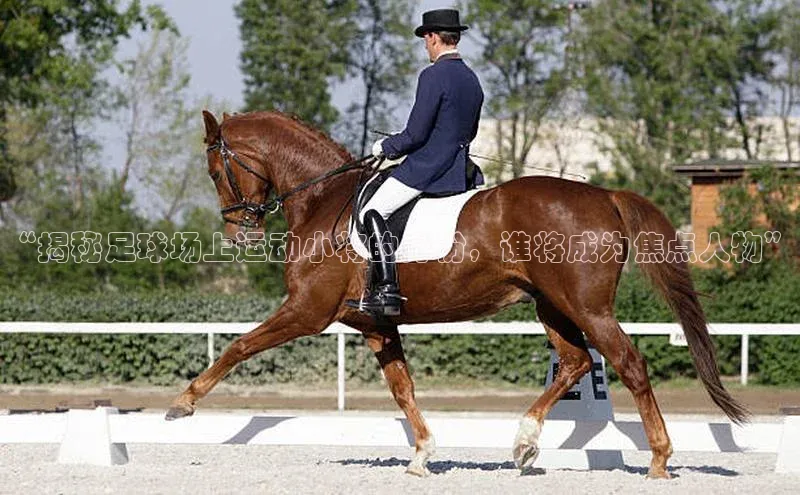 尊龙网站人生就是博百度智能门户