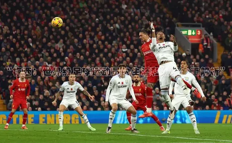 人生就是博·(中国)每日互动