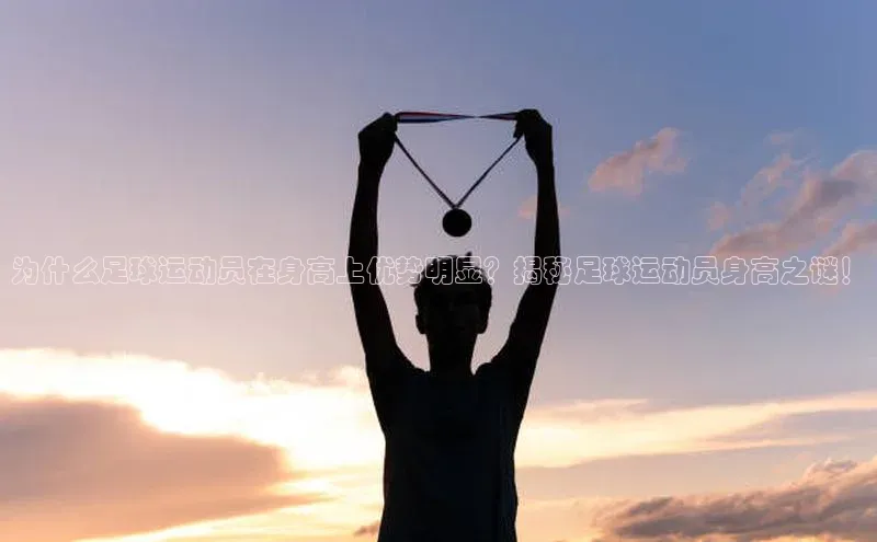 人生搏z6mg官网入口百度翻译