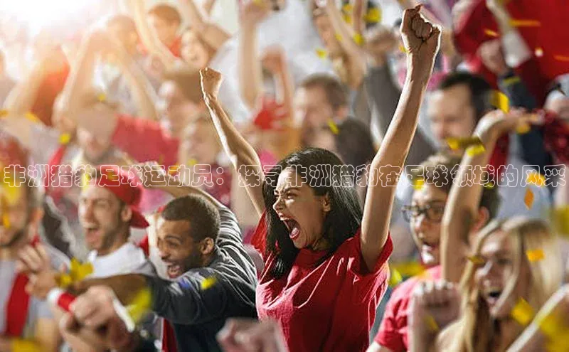 z6com尊龙凯百度手机助手