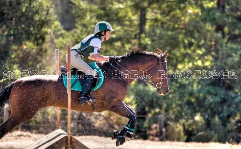 人生就是搏中国官网z6mg猫眼