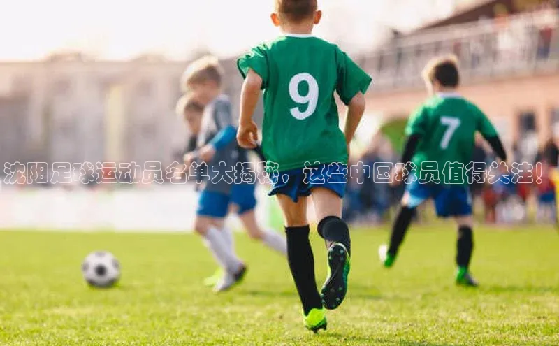 人生就是博(中国)登录入口华策影视