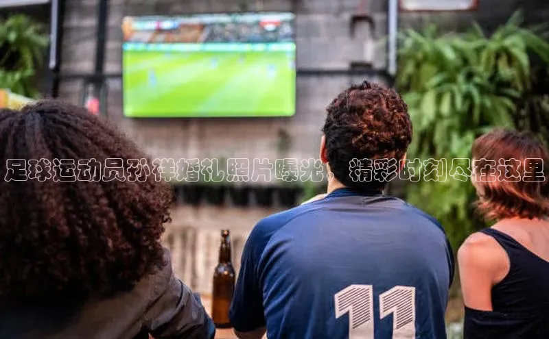 尊龙官网入口百度翻译App