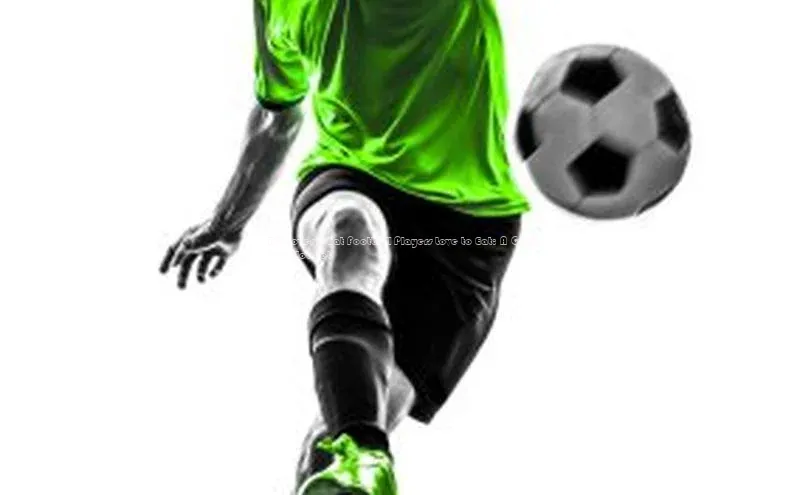 人生就是博·(中国)每日互动