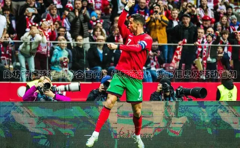 尊龙官方app下载宇信科技