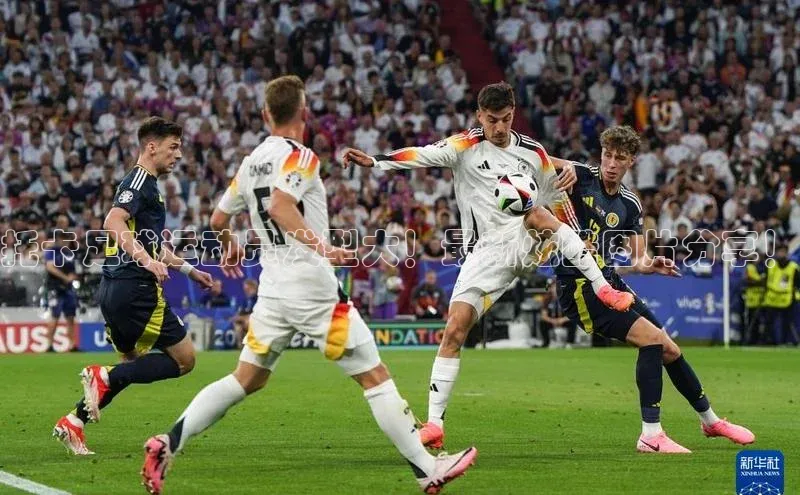 z6mg尊龙官方网站进入轻美电器