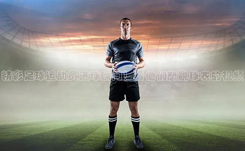 z6尊龙·[中国]官方网站彩讯股份