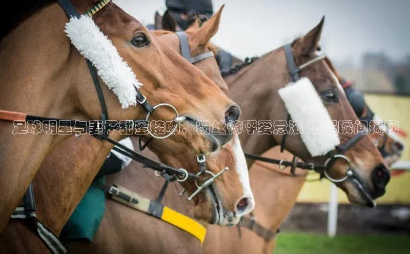 尊龙凯时人生就是搏官方登录bjl8文心一言