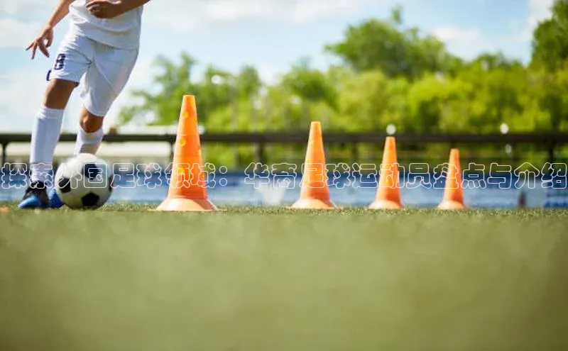 人生就是博·(中国区)官方网站z6雷柏科技