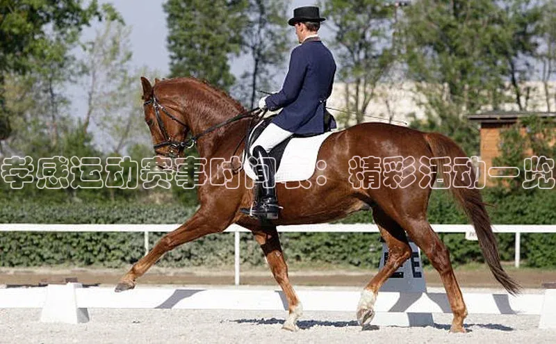 尊龙官网登录人生就是博登录