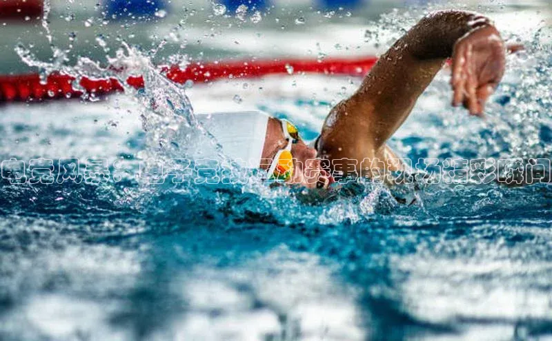 尊龙官方网站官网入口