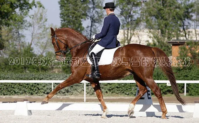 人生就是博·(中国区)官方网站